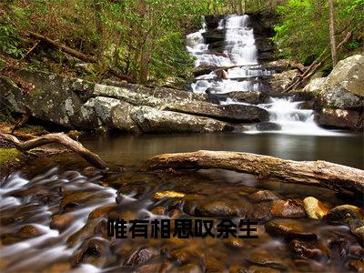 程沁沈肆（唯有相思叹余生）精彩满分小说-强烈推荐唯有相思叹余生（程沁沈肆）小说精彩全文阅读