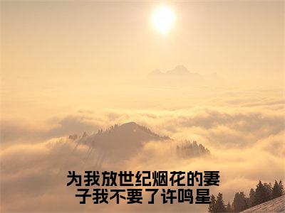 为我放世纪烟花的妻子我不要了许鸣星（许鸣星）小说免费阅读完结版-为我放世纪烟花的妻子我不要了许鸣星小说全文免费阅读（许鸣星后续+全集）