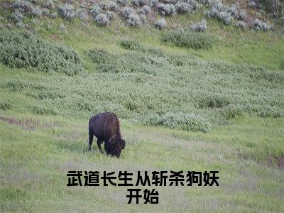 陈玄（武道长生从斩杀狗妖开始）全文免费阅读无弹窗完整版，（陈玄）免费阅读全文最新章节列表_笔趣阁