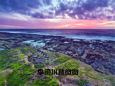 季司川林微微（林微微季司川）全文免费阅读无弹窗大结局_季司川林微微全文免费阅读最新章节列表_笔趣阁