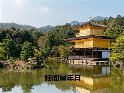 主角叫陆闻景年月的小说-（陆闻景年月）陆闻景年月全文无弹窗完整版阅读