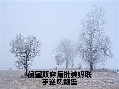 小说闺蜜双穿疯批婆媳联手逆风翻盘（宋月苏绵棠）免费阅读-小说闺蜜双穿疯批婆媳联手逆风翻盘全文在线赏析