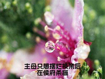 姜舒绾（姜舒绾）是什么小说-（主母只想摆烂换亲后在侯府杀疯）无弹窗免费阅读大结局最新章节列表_笔趣阁