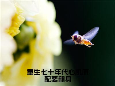 重生七十年代心机原配要翻身（王翠兰）小说全文免费阅读无弹窗-重生七十年代心机原配要翻身小说全文免费阅读大结局笔趣阁