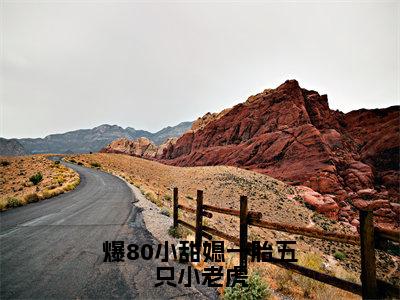 爆80小甜媳一胎五只小老虎（秦埘越安柠）全文免费阅读无弹窗大结局-爆80小甜媳一胎五只小老虎最新章节列表-笔趣阁