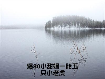 （热推新书）《爆80小甜媳一胎五只小老虎》秦埘越安柠-热推秦埘越安柠无弹窗阅读爆80小甜媳一胎五只小老虎在线阅读