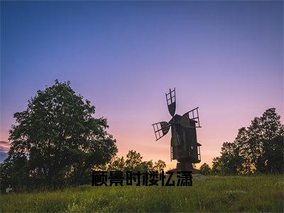 顾景时楼忆潇（楼忆潇顾景时）全文免费阅读无弹窗大结局_顾景时楼忆潇最新章节列表（楼忆潇顾景时）