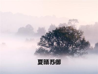 苏御夏晴小说全文免费阅读大结局-夏晴苏御最新章节列表免费阅读