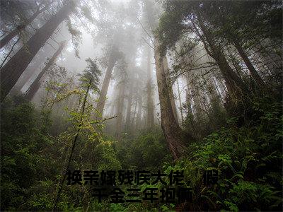 苏云溪慕时砚（换亲嫁残疾大佬，假千金三年抱俩）精彩满分小说-强烈推荐换亲嫁残疾大佬，假千金三年抱俩（苏云溪慕时砚）小说精彩全文阅读