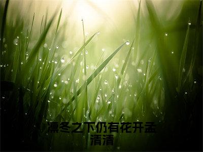 周凛冬孟清清（凛冬之下仍有花开孟清清）全文免费阅读无弹窗完整版，（周凛冬孟清清）免费阅读全文最新章节列表_笔趣阁