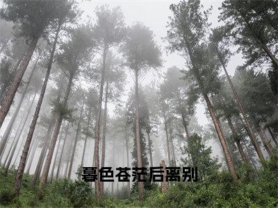 暮色苍茫后离别（叶蓁微陆聿年）全文免费阅读无弹窗大结局_暮色苍茫后离别全文完整无删减版免费阅读