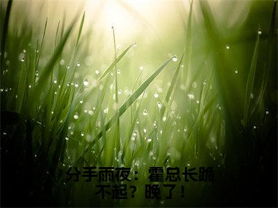 分手雨夜：霍总长跪不起？晚了！（霍祁易渺）新上热文小说全文免费阅读-小说（霍祁易渺）完整版阅读