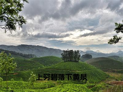 上穷碧落下黄泉（楚易轩沈芙）全文免费阅读无弹窗大结局_上穷碧落下黄泉最新章节列表_笔趣阁（免费+番外）