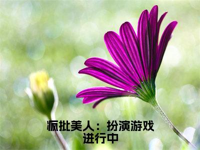 温嗣音秦怀钰（疯批美人：扮演游戏进行中）小说全文免费阅读正版无弹窗疯批美人：扮演游戏进行中全文无弹窗阅读