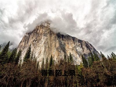 裴渡宋慕宁小说免费（青青陌上桑）全文免费阅读无弹窗-青青陌上桑小说全文免费阅读最新章节列表