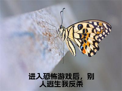 进入恐怖游戏后，别人逃生我反杀（鹿寻）全文免费阅读无弹窗-鹿寻小说完整版在线阅读