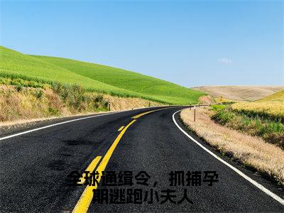 颜鹿时序（颜鹿时序）全文免费阅读无弹窗_全球通缉令，抓捕孕期逃跑小夫人全文免费阅读最新章节大结局