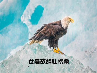 杜秋桑仓嘉故辞小说（仓嘉故辞杜秋桑）免费阅读_杜秋桑仓嘉故辞小说免费阅读-笔趣阁