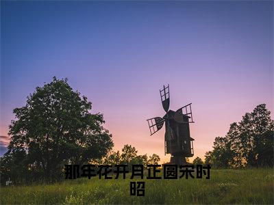 凌择霄宋时昭免费阅读无弹窗大结局，那年花开月正圆宋时昭最新章节