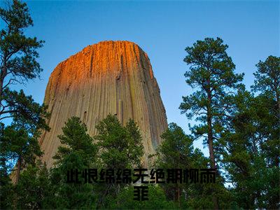 此恨绵绵无绝期柳雨菲（白子墨柳雨菲）全文免费阅读无弹窗_白子墨柳雨菲小说_笔趣阁