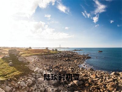 陆琰时初夏（时初夏陆琰）小说全文免费阅读-陆琰时初夏（时初夏陆琰）小说免费版最新更新阅读