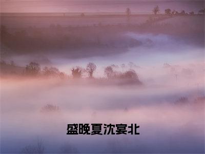 盛晚夏沈宴北（盛晚夏沈宴北小说）全文免费阅读无弹窗大结局_盛晚夏沈宴北全文免费阅读_笔趣阁（盛晚夏沈宴北）