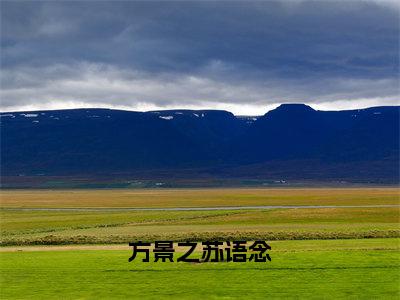 方景之苏语念全文免费阅读无弹窗大结局_（苏语念方景之）免费阅读全文无弹窗