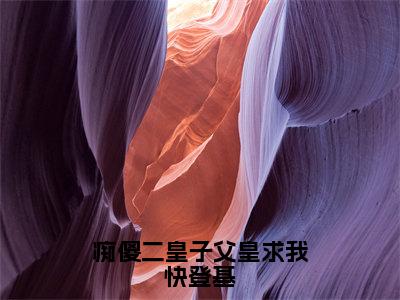 （免费）+（结局）痴傻二皇子父皇求我快登基美文欣赏完整版，云柏武精彩章节在线阅读