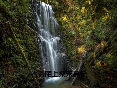 青青陌上桑宋慕宁（裴渡宋慕宁）免费阅读-小说（青青陌上桑宋慕宁）裴渡宋慕宁全文阅读