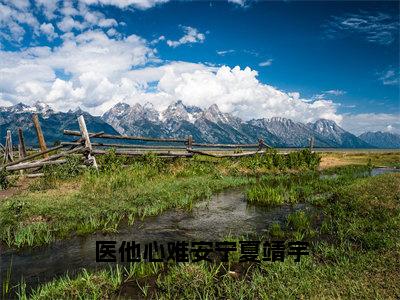 医他心难安宁夏靖宇小说免费阅读全文在线阅读，江柠初夏靖宇的小说在线阅读全文