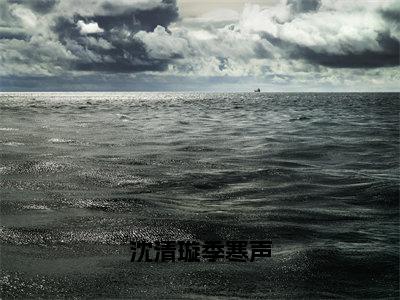 沈清璇季寒声（沈清璇季寒声）全文免费阅读无弹窗大结局_沈清璇季寒声最新章节列表_笔趣阁