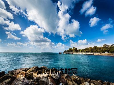 夏诗韵沈皓宸（沈皓宸夏诗韵）小说全文-夏诗韵沈皓宸小说免费阅读大结局