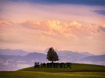 奚沐颜靳俞天（奚沐颜靳俞天）小说全文免费阅读无弹窗_（奚沐颜靳俞天全文阅读）奚沐颜靳俞天免费阅读大结局