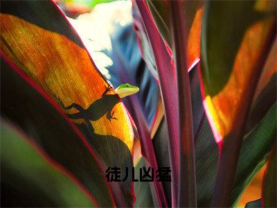 《徒儿凶猛》沈问天（大结局小说全集完整版）沈问天小说_徒儿凶猛全文阅读笔趣阁