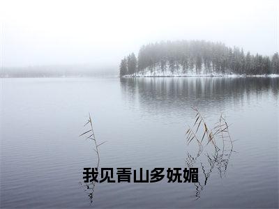 我见青山多妩媚全文免费阅读无弹窗大结局_（陈千周青山）免费阅读全文无弹窗