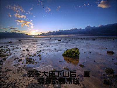 玄学大佬下山后，直播算命暴富啦（秦钰）全文免费阅读无弹窗-秦钰小说完整版在线阅读