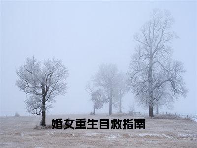 婚女重生自救指南小说（何易许婧）全文免费阅读无弹窗大结局_何易许婧小说免费阅读无弹窗最新章节列表