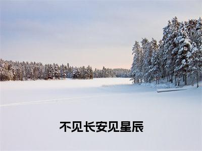 小说《不见长安见星辰》全文免费阅读无弹窗-陆明逸慕婉小说全文在线赏析_笔趣阁