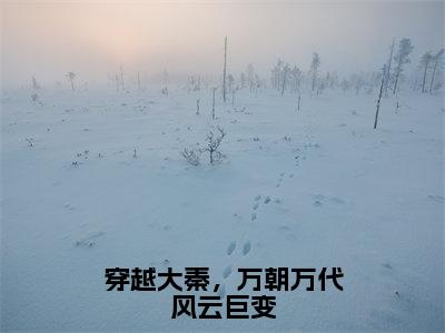 穿越大秦，万朝万代风云巨变（周赢）全文免费阅读无弹窗大结局_穿越大秦，万朝万代风云巨变小说全文免费阅读最新章节列表（周赢）