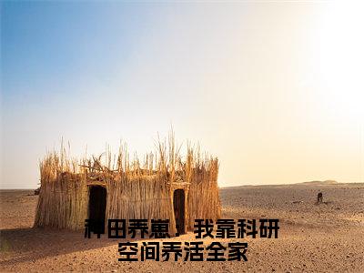 容九思许馨玥完整版（种田养崽：我靠科研空间养活全家小说）全文免费阅读无弹窗大结局_种田养崽：我靠科研空间养活全家最新章节