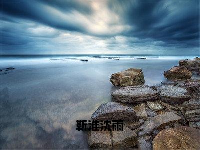 靳淮沈雨全集章节小说免费阅读完整版（靳淮沈雨）-靳淮沈雨小说免费阅读