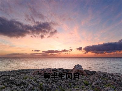 孟归年卢安夏小说（等半生风月）免费阅读-等半生风月（孟归年卢安夏）全章节最新阅读