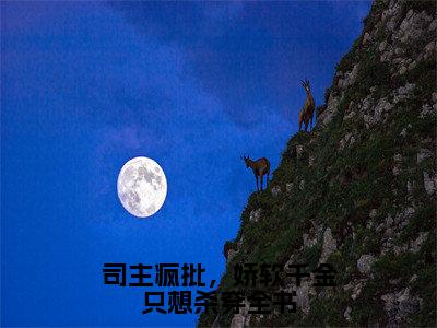 司主疯批，娇软千金只想杀穿全书（南辰桡南初筝）全文免费阅读无弹窗_司主疯批，娇软千金只想杀穿全书完整版最新阅读_笔趣阁（南辰桡南初筝）