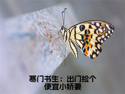 （李墨）小说全文免费阅读_李墨（寒门书生：出门捡个便宜小娇妻）最新章节热文在线阅读