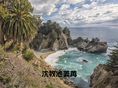 沈牧池姜苒（沈牧池姜苒）小说全文免费读无弹窗大结局_沈牧池姜苒小说全文免费阅读最新章节列表笔趣阁