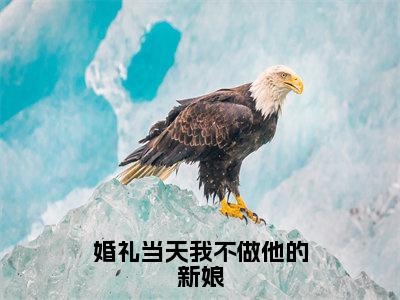 婚礼当天我不做他的新娘（盛纤纤叶南辰）全文免费阅读无弹窗大结局_（盛纤纤叶南辰）盛纤纤叶南辰最新章节列表