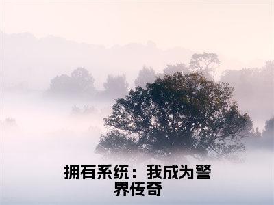 （傅惊涛）拥有系统：我成为警界传奇无弹窗免费阅读傅惊涛大结局无删阅读_笔趣阁