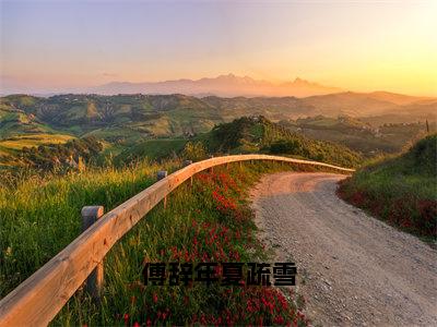 傅辞年夏疏雪（傅辞年夏疏雪）全文免费阅读无弹窗大结局_（傅辞年夏疏雪）傅辞年夏疏雪全文阅读-笔趣阁