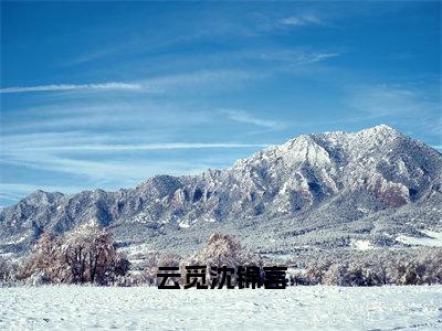 云觅沈锦言（沈锦言云觅）全文免费阅读无弹窗大结局_（沈锦言云觅）全文阅读_笔趣阁（云觅沈锦言）