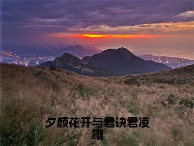 夕颜花开与君诀君凌翊全集免费阅读无弹窗_蓝羽裳君凌翊完结小说榜单阅读（蓝羽裳君凌翊小说）